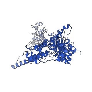 22521_7jy5_C_v1-0
Structure of human p97 in complex with ATPgammaS and Npl4/Ufd1 (masked around p97)