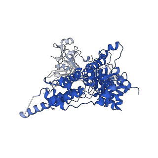 22521_7jy5_C_v1-1
Structure of human p97 in complex with ATPgammaS and Npl4/Ufd1 (masked around p97)