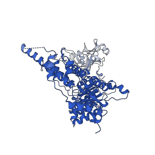 22521_7jy5_D_v1-0
Structure of human p97 in complex with ATPgammaS and Npl4/Ufd1 (masked around p97)