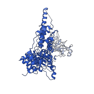 22521_7jy5_E_v1-0
Structure of human p97 in complex with ATPgammaS and Npl4/Ufd1 (masked around p97)