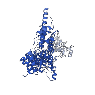 22521_7jy5_E_v1-1
Structure of human p97 in complex with ATPgammaS and Npl4/Ufd1 (masked around p97)