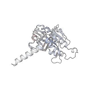 22522_7jy6_A_v1-1
Analysis of a strand exchange reaction with a mini filament of 9-RecA, oligo(dT)27 primary ssDNA, non-homologous 120 bp dsDNA and ATPgammaS