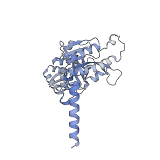 22522_7jy6_B_v1-1
Analysis of a strand exchange reaction with a mini filament of 9-RecA, oligo(dT)27 primary ssDNA, non-homologous 120 bp dsDNA and ATPgammaS