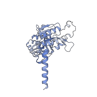 22522_7jy6_B_v1-2
Analysis of a strand exchange reaction with a mini filament of 9-RecA, oligo(dT)27 primary ssDNA, non-homologous 120 bp dsDNA and ATPgammaS