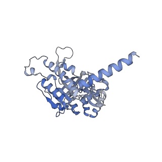 22522_7jy6_D_v1-1
Analysis of a strand exchange reaction with a mini filament of 9-RecA, oligo(dT)27 primary ssDNA, non-homologous 120 bp dsDNA and ATPgammaS