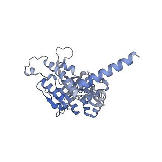 22522_7jy6_D_v1-2
Analysis of a strand exchange reaction with a mini filament of 9-RecA, oligo(dT)27 primary ssDNA, non-homologous 120 bp dsDNA and ATPgammaS