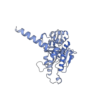22522_7jy6_F_v1-1
Analysis of a strand exchange reaction with a mini filament of 9-RecA, oligo(dT)27 primary ssDNA, non-homologous 120 bp dsDNA and ATPgammaS