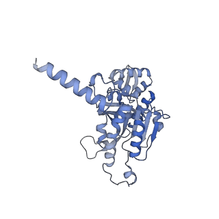 22522_7jy6_F_v1-2
Analysis of a strand exchange reaction with a mini filament of 9-RecA, oligo(dT)27 primary ssDNA, non-homologous 120 bp dsDNA and ATPgammaS