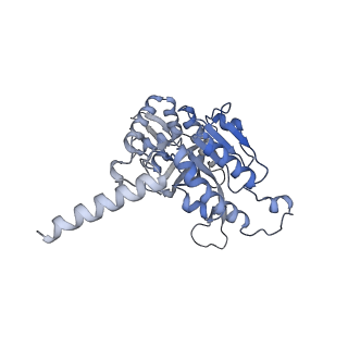 22522_7jy6_G_v1-1
Analysis of a strand exchange reaction with a mini filament of 9-RecA, oligo(dT)27 primary ssDNA, non-homologous 120 bp dsDNA and ATPgammaS