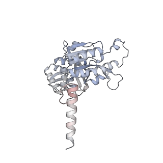 22522_7jy6_H_v1-2
Analysis of a strand exchange reaction with a mini filament of 9-RecA, oligo(dT)27 primary ssDNA, non-homologous 120 bp dsDNA and ATPgammaS