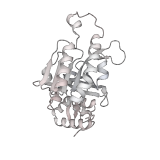 22522_7jy6_I_v1-2
Analysis of a strand exchange reaction with a mini filament of 9-RecA, oligo(dT)27 primary ssDNA, non-homologous 120 bp dsDNA and ATPgammaS