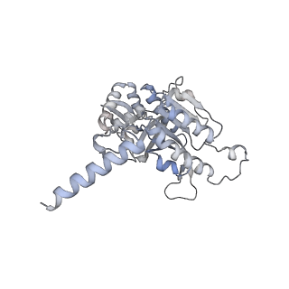 22523_7jy7_A_v1-2
Structure of a 12 base pair RecA-D loop complex