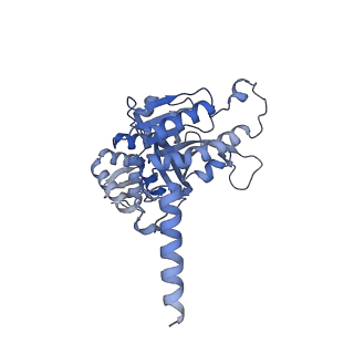 22523_7jy7_B_v1-2
Structure of a 12 base pair RecA-D loop complex