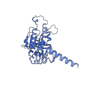 22523_7jy7_C_v1-2
Structure of a 12 base pair RecA-D loop complex