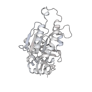 22523_7jy7_I_v1-2
Structure of a 12 base pair RecA-D loop complex