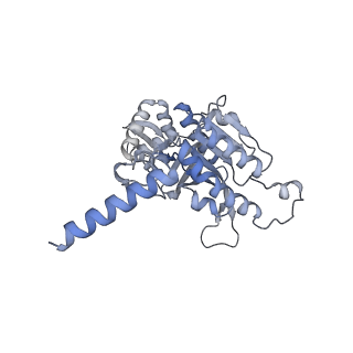 22525_7jy9_A_v1-2
Structure of a 9 base pair RecA-D loop complex