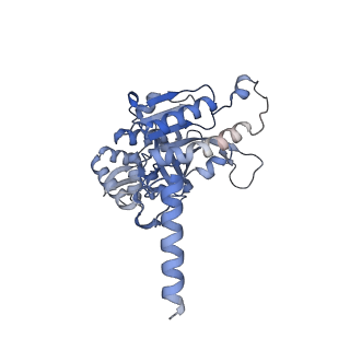 22525_7jy9_B_v1-2
Structure of a 9 base pair RecA-D loop complex