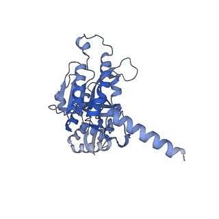 22525_7jy9_C_v1-2
Structure of a 9 base pair RecA-D loop complex