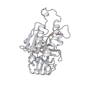 22525_7jy9_I_v1-2
Structure of a 9 base pair RecA-D loop complex