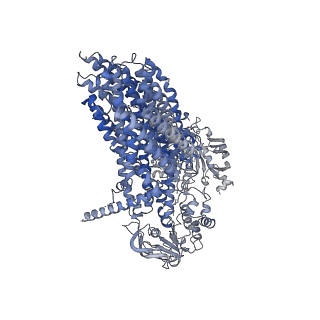 36719_8jy4_A_v1-0
Cryo-EM structure of human ABC transporter ABCC2 in apo' state