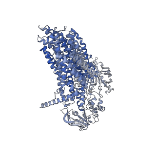 36719_8jy4_A_v1-1
Cryo-EM structure of human ABC transporter ABCC2 in apo' state