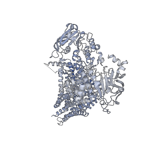 36720_8jy5_A_v1-0
Cryo-EM structure of human ABC transporter ABCC2 in apo" state