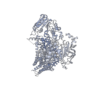 36720_8jy5_A_v1-1
Cryo-EM structure of human ABC transporter ABCC2 in apo" state