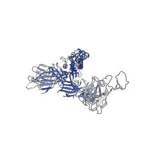 36727_8jyn_A_v1-0
Structure of SARS-CoV-2 XBB.1.5 spike glycoprotein in complex with ACE2 (1-up state)