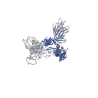 36728_8jyo_B_v1-0
Structure of SARS-CoV-2 XBB.1.5 spike glycoprotein in complex with ACE2 (2-up state)