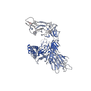 36728_8jyo_C_v1-0
Structure of SARS-CoV-2 XBB.1.5 spike glycoprotein in complex with ACE2 (2-up state)