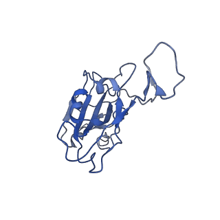 36729_8jyp_A_v1-0
Structure of SARS-CoV-2 XBB.1.5 spike RBD in complex with ACE2