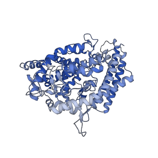 36729_8jyp_D_v1-0
Structure of SARS-CoV-2 XBB.1.5 spike RBD in complex with ACE2