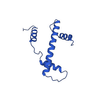 9718_6jyl_A_v1-1
The crosslinked complex of ISWI-nucleosome in the ADP.BeF-bound state