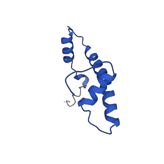 9718_6jyl_B_v1-1
The crosslinked complex of ISWI-nucleosome in the ADP.BeF-bound state