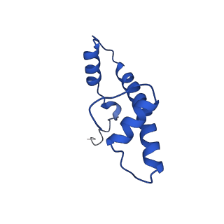 9718_6jyl_B_v1-2
The crosslinked complex of ISWI-nucleosome in the ADP.BeF-bound state