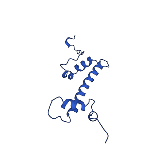 9718_6jyl_C_v1-1
The crosslinked complex of ISWI-nucleosome in the ADP.BeF-bound state