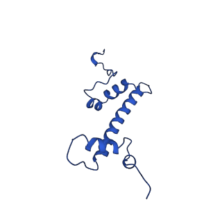 9718_6jyl_C_v1-2
The crosslinked complex of ISWI-nucleosome in the ADP.BeF-bound state