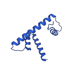 9718_6jyl_D_v1-2
The crosslinked complex of ISWI-nucleosome in the ADP.BeF-bound state