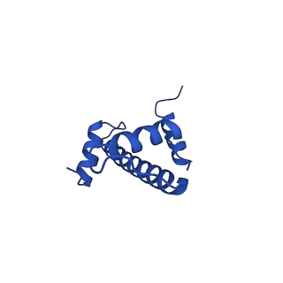 9718_6jyl_E_v1-1
The crosslinked complex of ISWI-nucleosome in the ADP.BeF-bound state