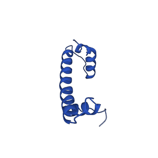 9718_6jyl_F_v1-2
The crosslinked complex of ISWI-nucleosome in the ADP.BeF-bound state