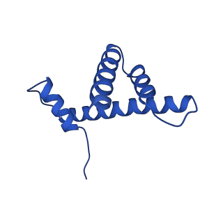 9718_6jyl_H_v1-2
The crosslinked complex of ISWI-nucleosome in the ADP.BeF-bound state