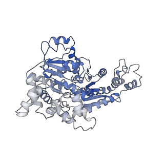 9718_6jyl_K_v1-1
The crosslinked complex of ISWI-nucleosome in the ADP.BeF-bound state