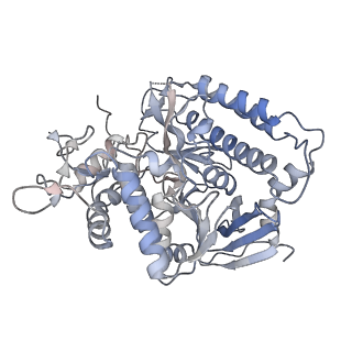 22528_7jz2_A_v1-0
Succinate: quinone oxidoreductase SQR from E.coli K12