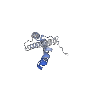 22528_7jz2_C_v1-1
Succinate: quinone oxidoreductase SQR from E.coli K12