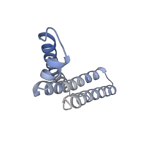 22528_7jz2_D_v1-1
Succinate: quinone oxidoreductase SQR from E.coli K12