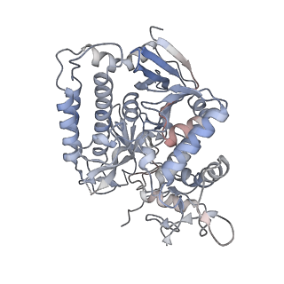 22528_7jz2_E_v1-0
Succinate: quinone oxidoreductase SQR from E.coli K12
