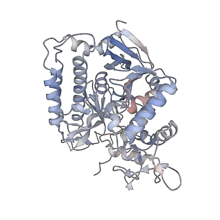 22528_7jz2_E_v1-1
Succinate: quinone oxidoreductase SQR from E.coli K12