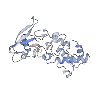 22528_7jz2_F_v1-0
Succinate: quinone oxidoreductase SQR from E.coli K12