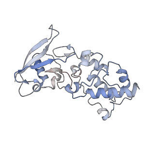 22528_7jz2_F_v1-1
Succinate: quinone oxidoreductase SQR from E.coli K12