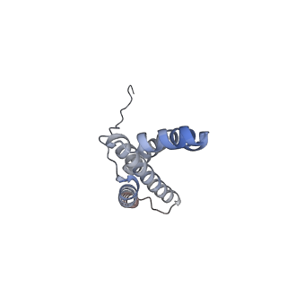 22528_7jz2_G_v1-0
Succinate: quinone oxidoreductase SQR from E.coli K12